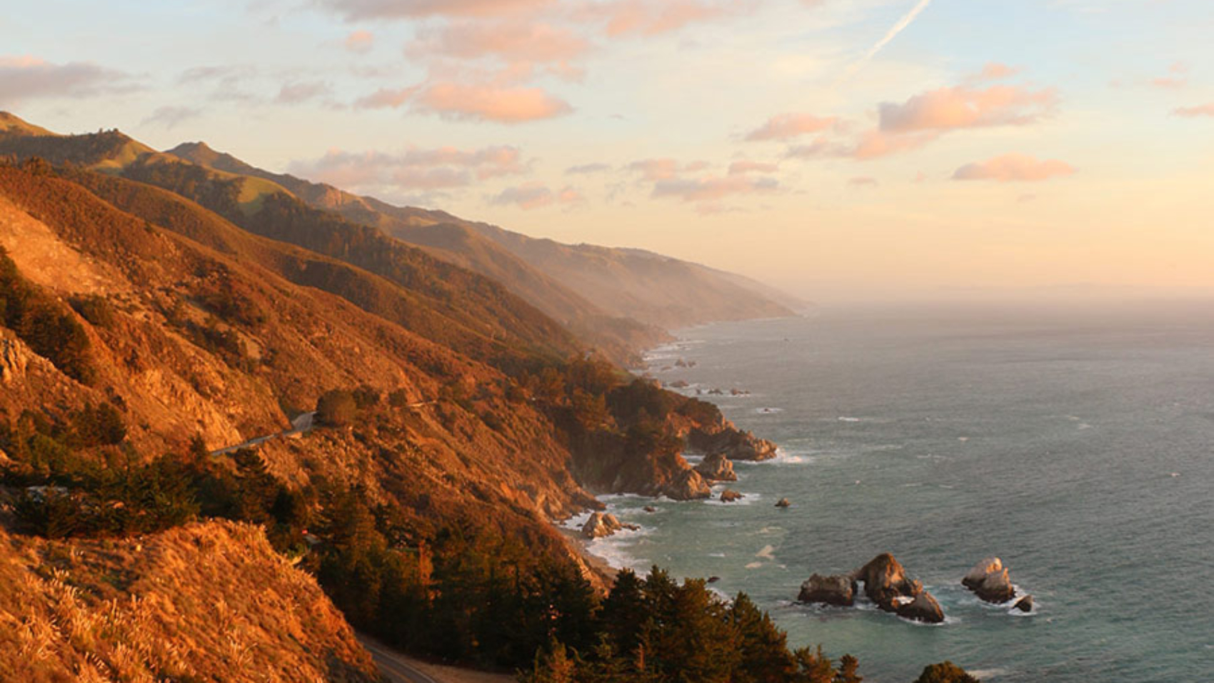 iris-papillon-432102