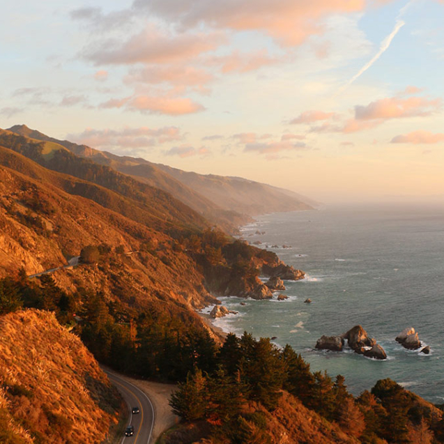 iris-papillon-432102